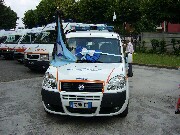 P1000250.JPG